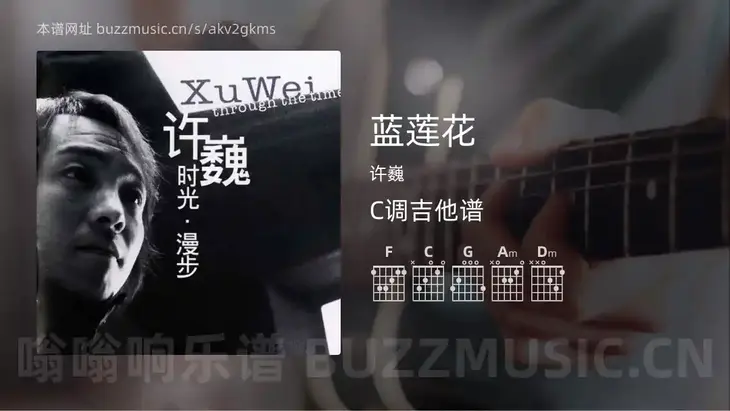 蓝莲花 许巍 吉他谱C调简单版