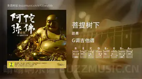 菩提树下 路勇 吉他谱G调简单版