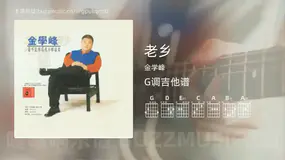 老乡吉他谱G调 金学峰 简单版