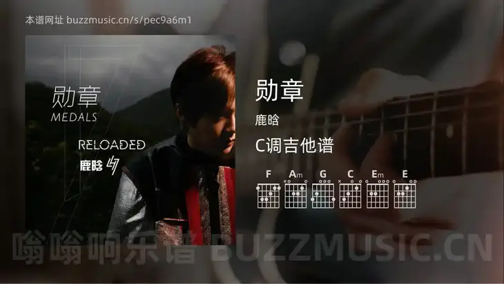 勋章 鹿晗 吉他谱C调简单版