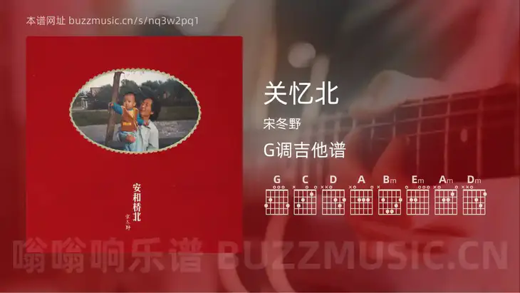 关忆北 宋冬野 吉他谱G调简单版