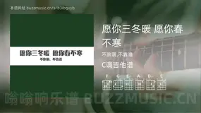 愿你三冬暖 愿你春不寒 不跑调,不靠谱 吉他谱C调简单版