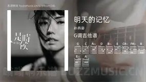 明天的记忆 孙燕姿 吉他谱G调简单版