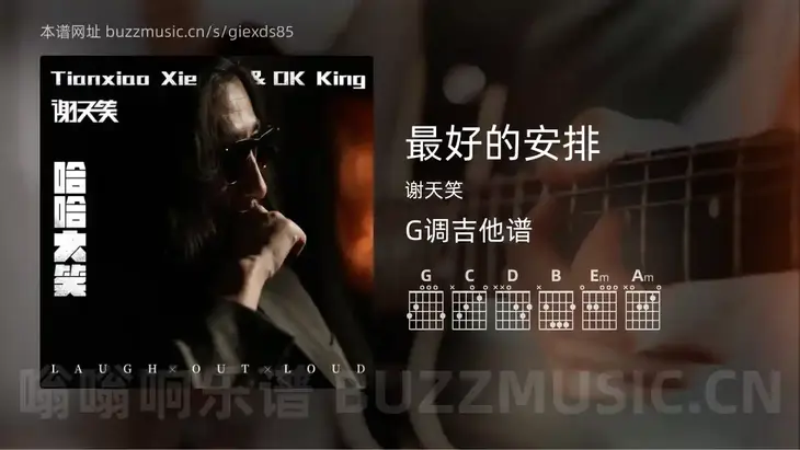 最好的安排 谢天笑 吉他谱G调简单版