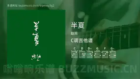 半夏吉他谱C调 赵照 简单版