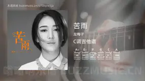 苦雨 龙梅子 吉他谱C调简单版