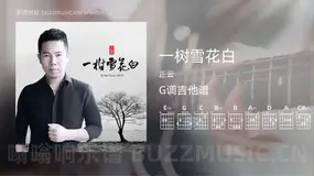 一树雪花白 正云 吉他谱G调简单版