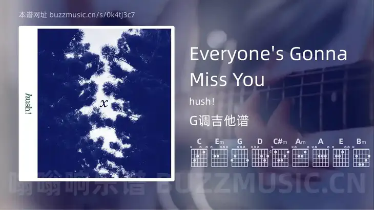Everyone’s Gonna Miss You hush! 吉他谱G调简单版