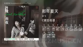 那年夏天 许飞 吉他谱C调简单版