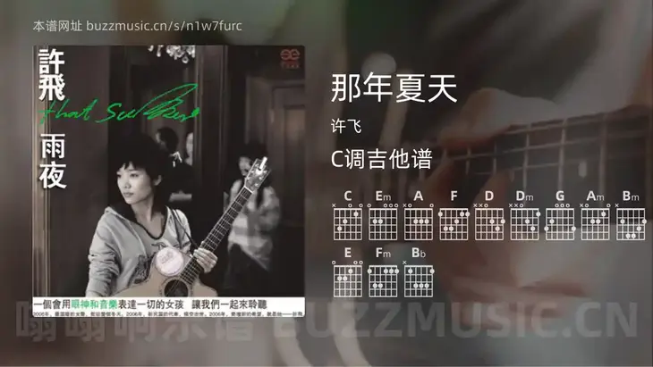 那年夏天 许飞 吉他谱C调简单版