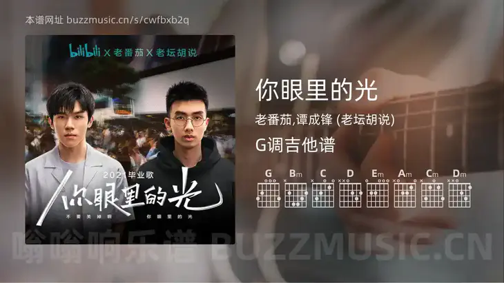 你眼里的光 老番茄,谭成锋 (老坛胡说) 吉他谱G调简单版