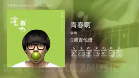 青春啊 李琦 吉他谱G调简单版