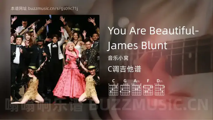 You Are Beautiful-James Blunt吉他谱C调 音乐小窝 简单版