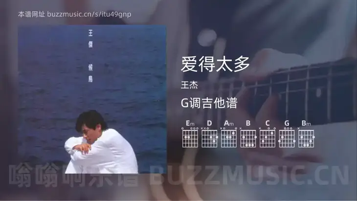 爱得太多 王杰 吉他谱G调简单版