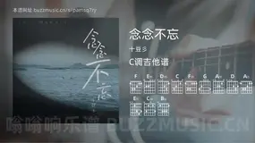 念念不忘吉他谱C调 十豆彡 简单版