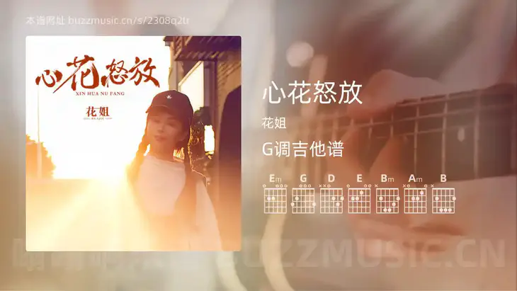 心花怒放 花姐 吉他谱G调简单版