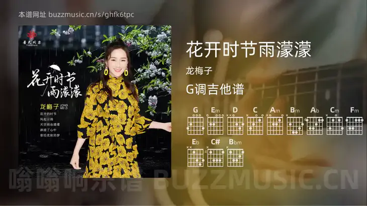 花开时节雨濛濛 龙梅子 吉他谱G调简单版