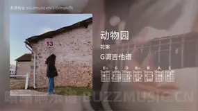 动物园 花粥 吉他谱G调简单版