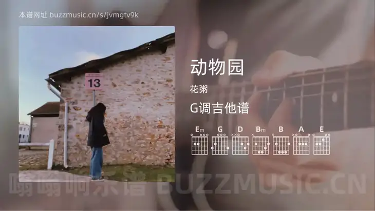 动物园 花粥 吉他谱G调简单版