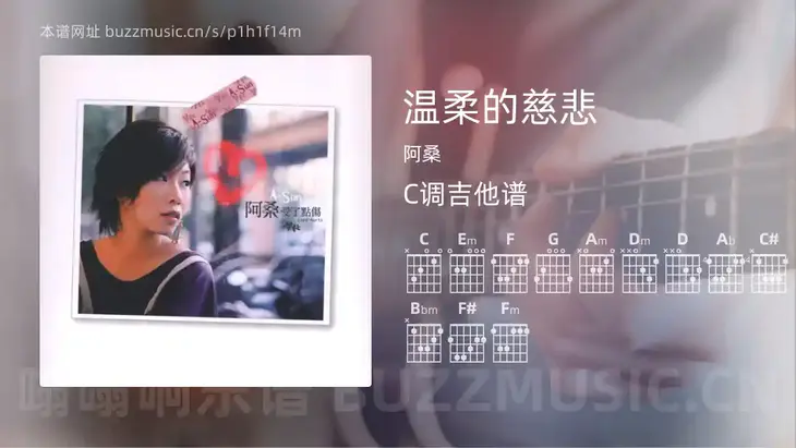 温柔的慈悲 阿桑 吉他谱C调简单版