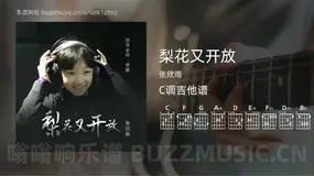 梨花又开放 张欣雨 吉他谱C调简单版