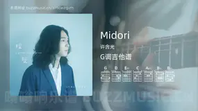 Midori 许含光 吉他谱G调简单版