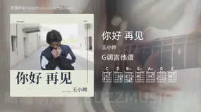 你好 再见 王小帅 吉他谱G调简单版