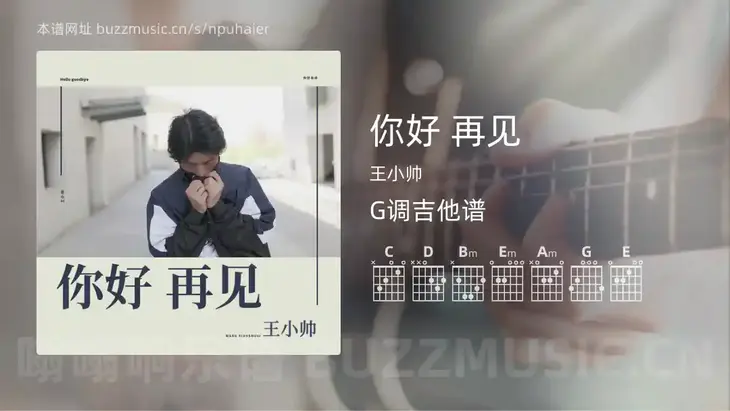 你好 再见 王小帅 吉他谱G调简单版