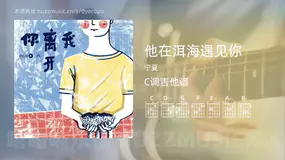 他在洱海遇见你 宁夏 吉他谱C调简单版