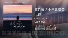 愿你被这个世界温柔以待 L(桃籽),何文宇 吉他谱G调简单版