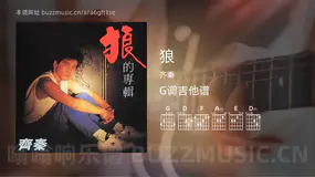 狼 齐秦 吉他谱G调简单版