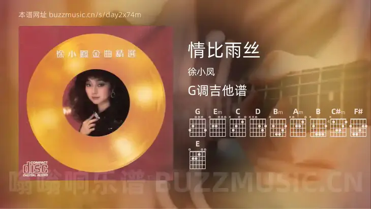 情比雨丝 徐小凤 吉他谱G调简单版
