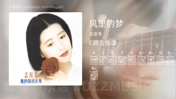 风里的梦吉他谱C调 孟庭苇 简单版