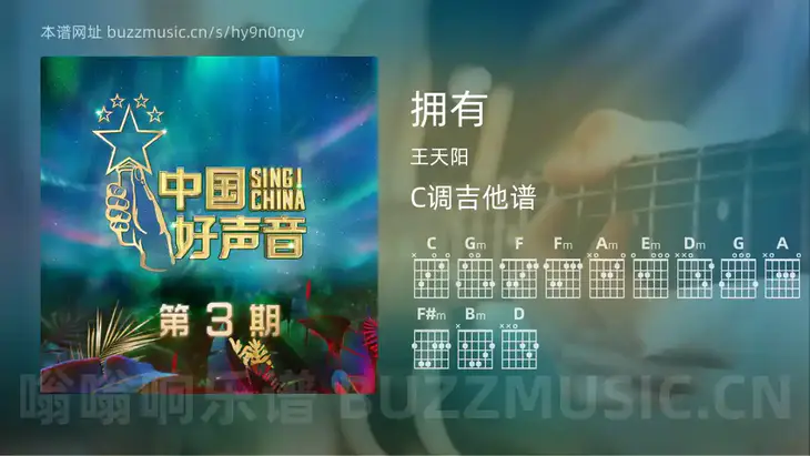 拥有 王天阳 吉他谱C调简单版