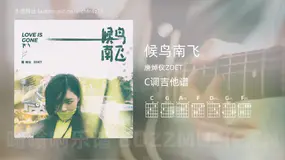 候鸟南飞 唐焯仪ZOET 吉他谱C调简单版
