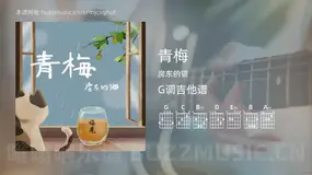 青梅 房东的猫 吉他谱G调简单版