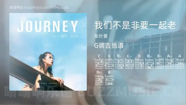我们不是非要一起老 张叶蕾 吉他谱G调简单版