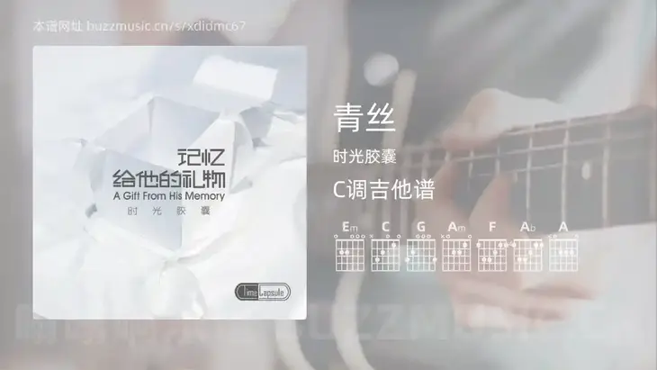 青丝 时光胶囊 吉他谱C调简单版