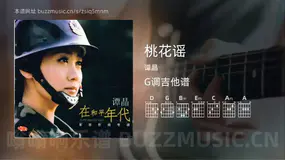 桃花谣 谭晶 吉他谱G调简单版