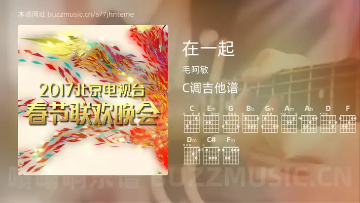 在一起吉他谱C调 毛阿敏 简单版