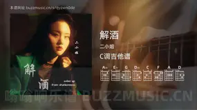 解酒吉他谱C调 二小姐 简单版