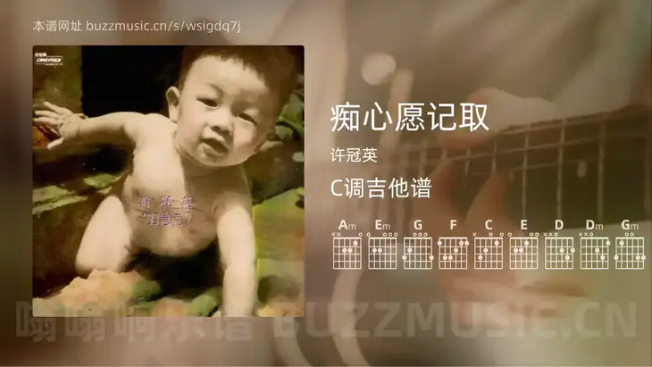 痴心愿记取 许冠英 吉他谱C调简单版