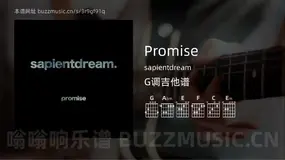 Promise吉他谱G调 sapientdream 简单版