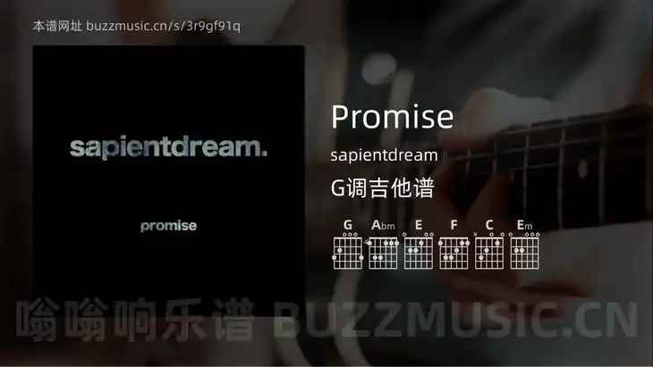 Promise吉他谱G调 sapientdream 简单版