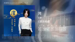 湾 王菲 吉他谱C调简单版