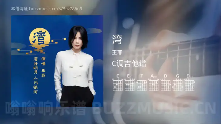 湾 王菲 吉他谱C调简单版