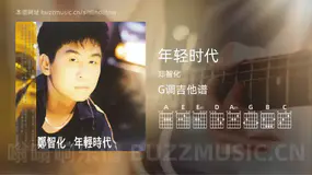 年轻时代 郑智化 吉他谱G调简单版