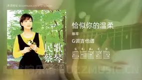 恰似你的温柔 蔡琴 吉他谱G调简单版