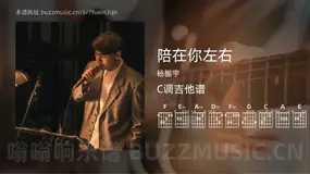 陪在你左右 杨振宇 吉他谱C调简单版