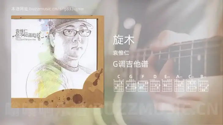 旋木 袁惟仁 吉他谱G调简单版